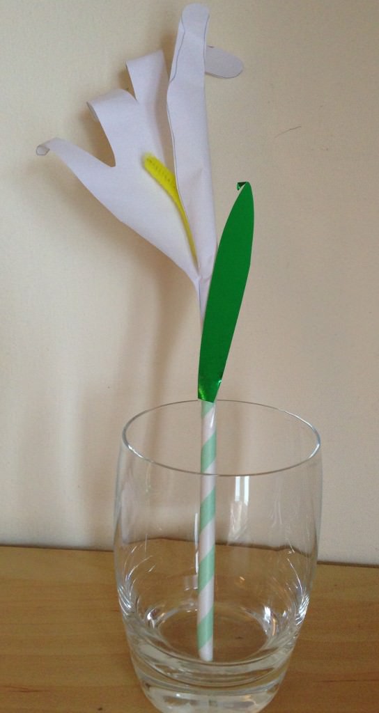 hand print lily in jar