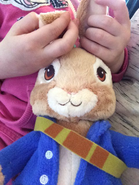 Peter Rabbit soft toy