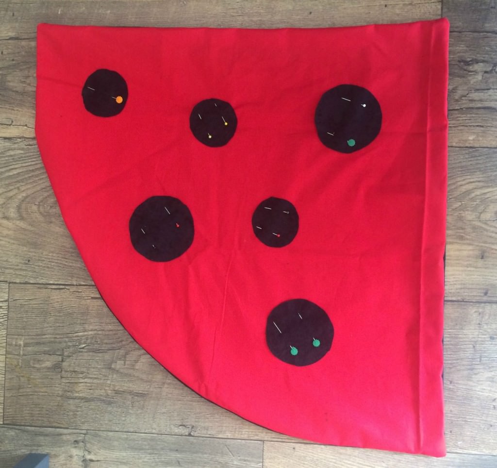 how to make a ladybird costume