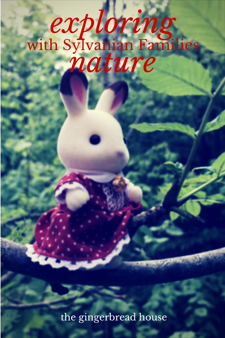 exploring nature with Sylvanian Families