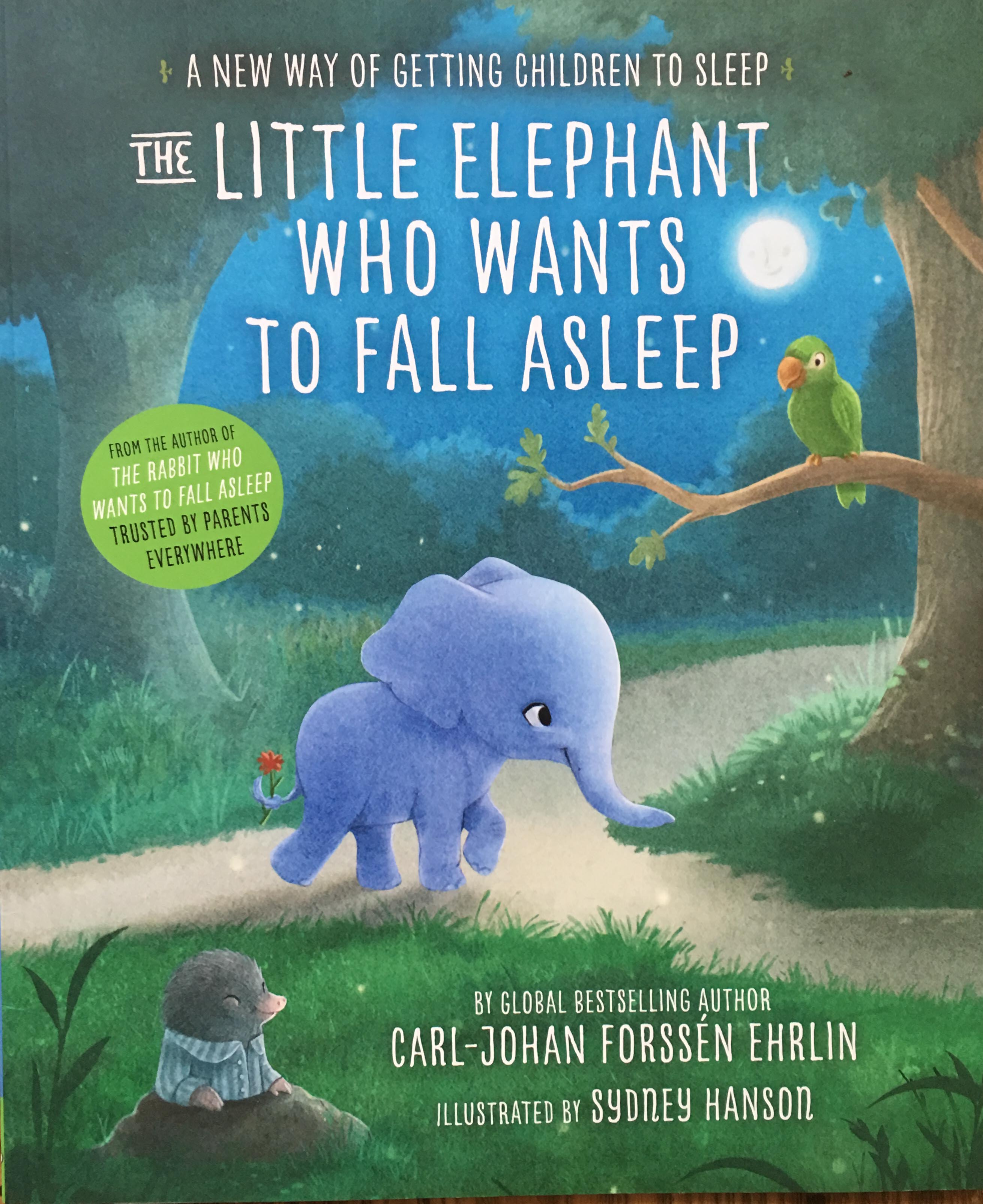 The Little Elephant Who Wants to Fall Asleep