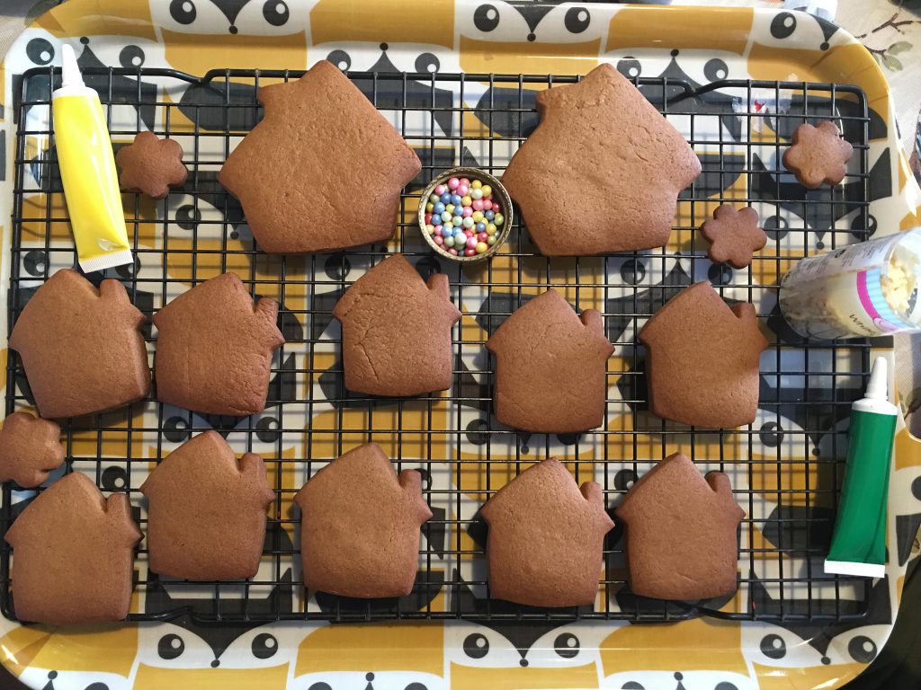 ready to decorate gingerbread biscuits