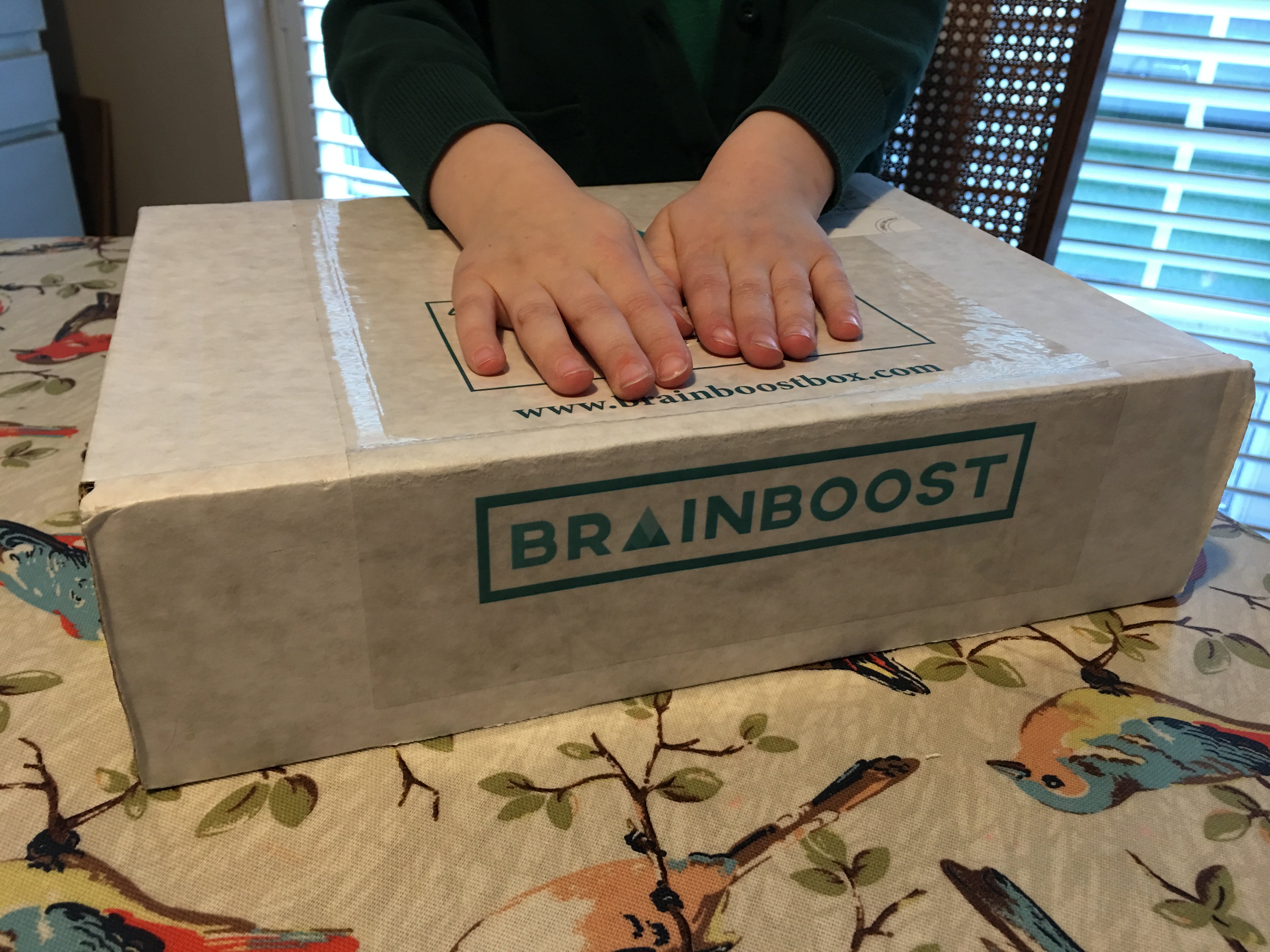 Brainboost Box activity box for kids