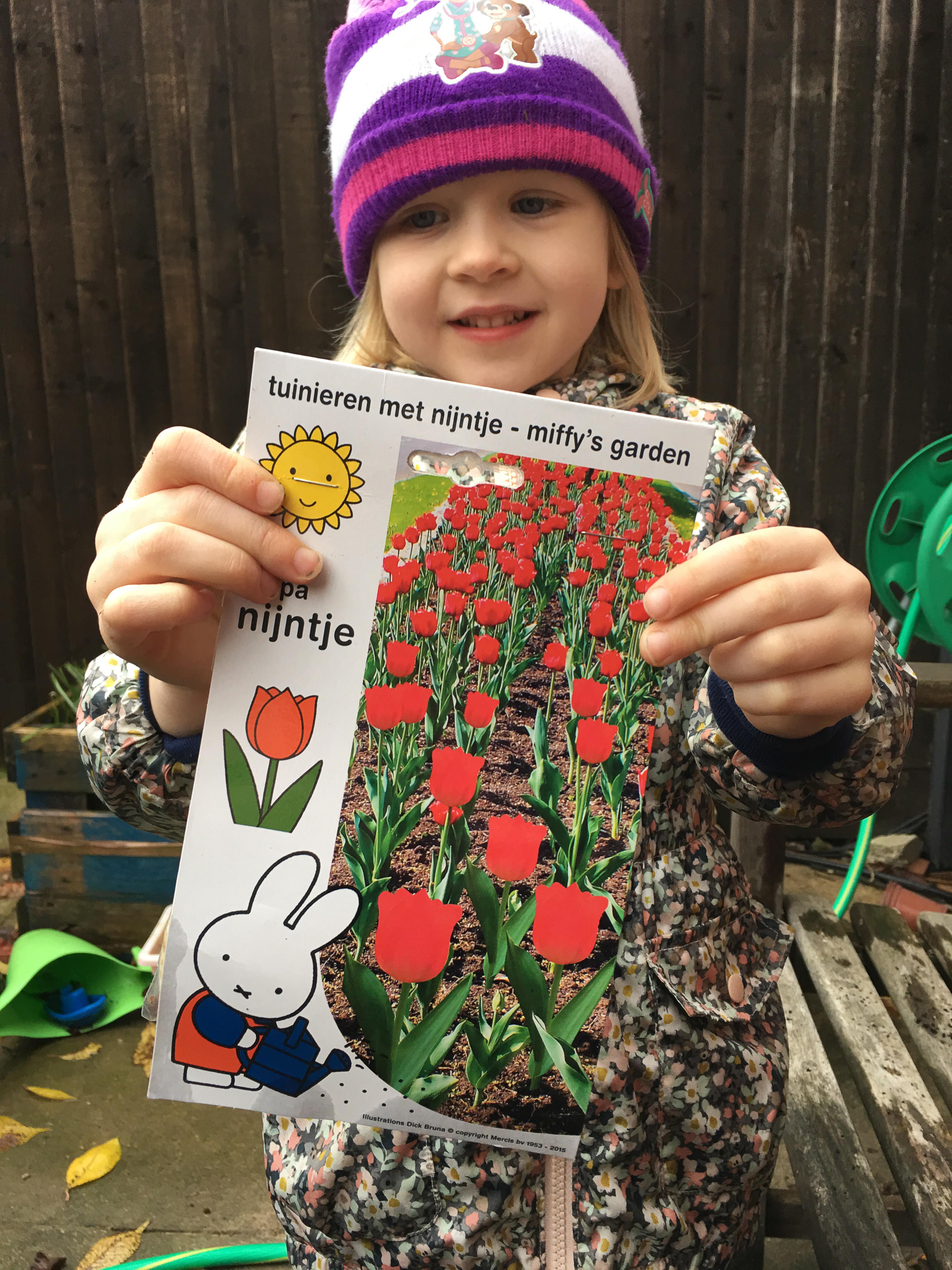 Planting Miffy tulips for Spring