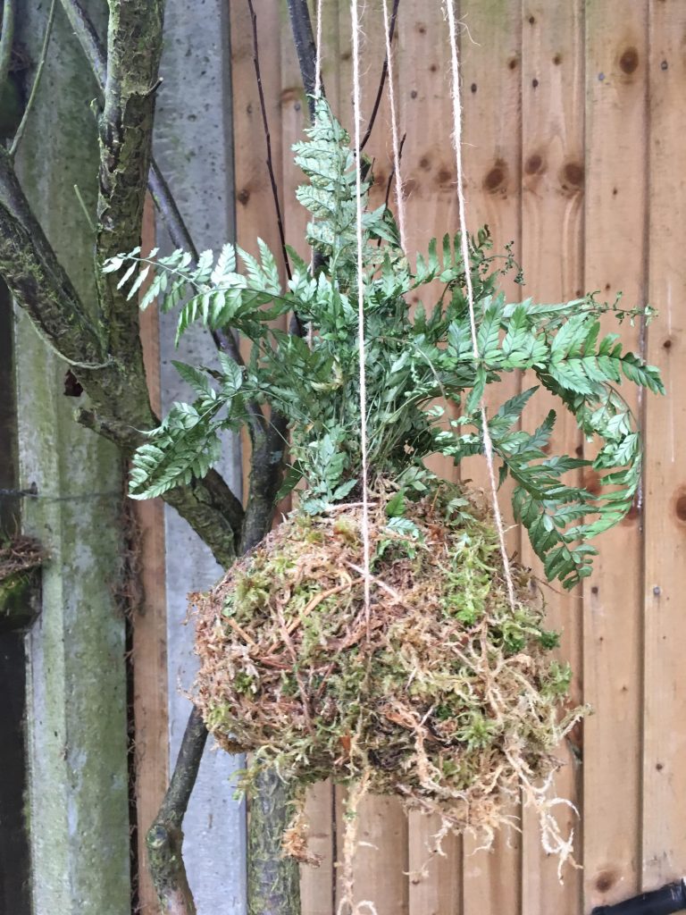 Kokedama kit from BloomBox Club