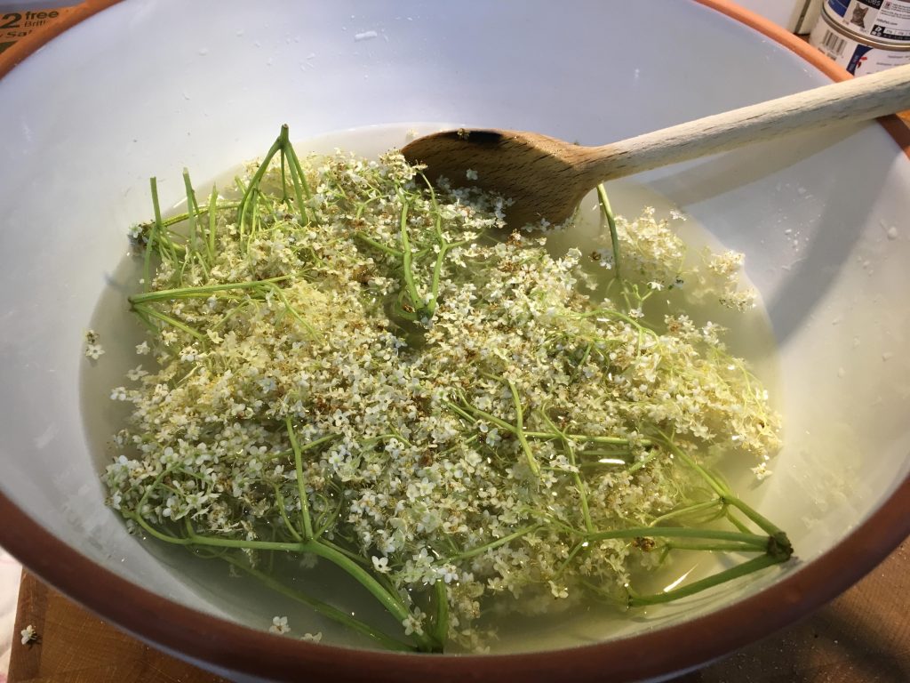 How to make your own Elderflower cordial