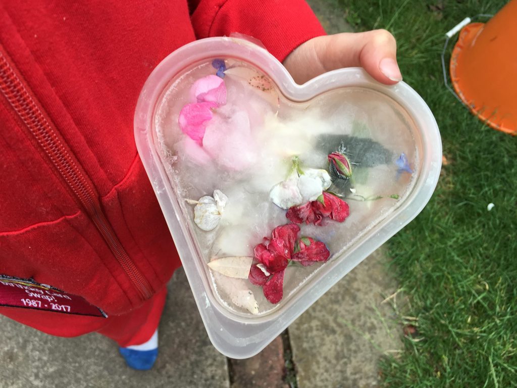 Freezing flowers in ice