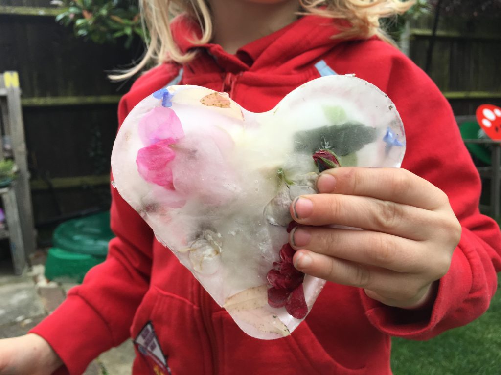 Freezing flowers in ice