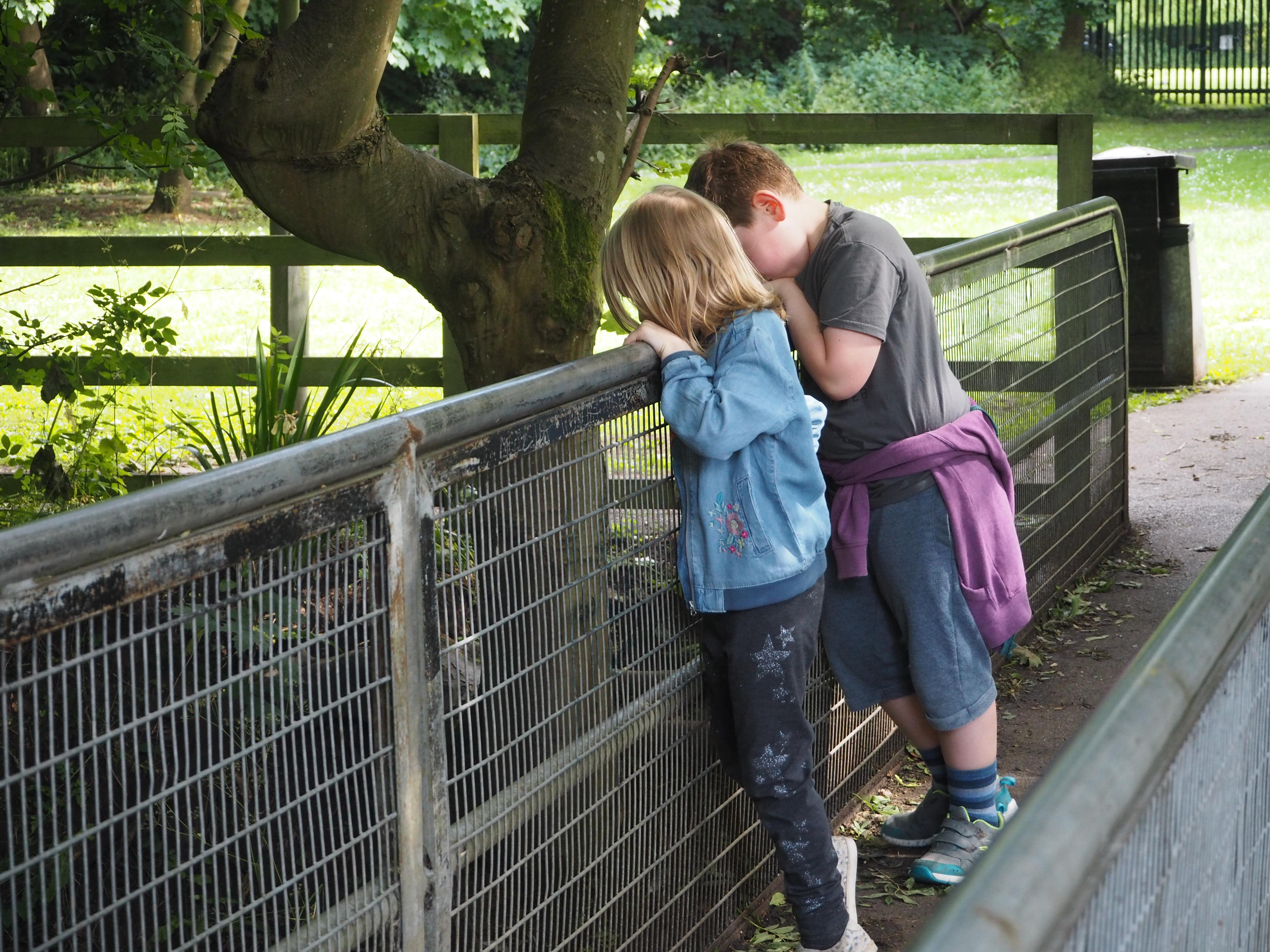 Siblings {June 2017}