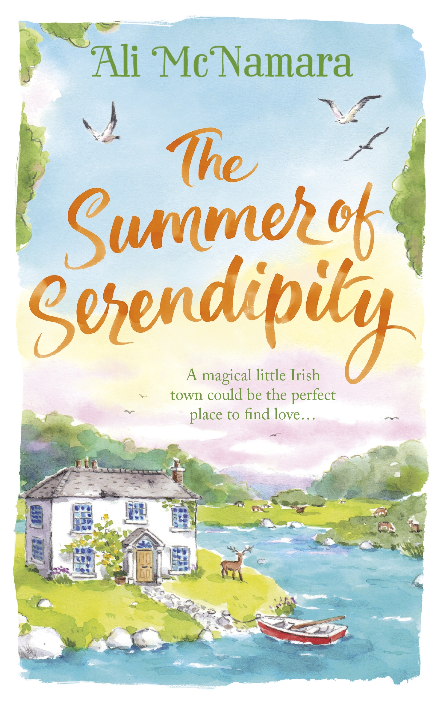 The Summer of Serendipity book review