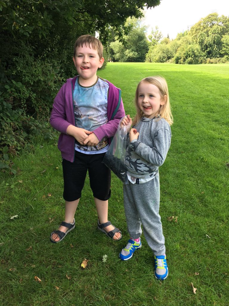 blackberry picking