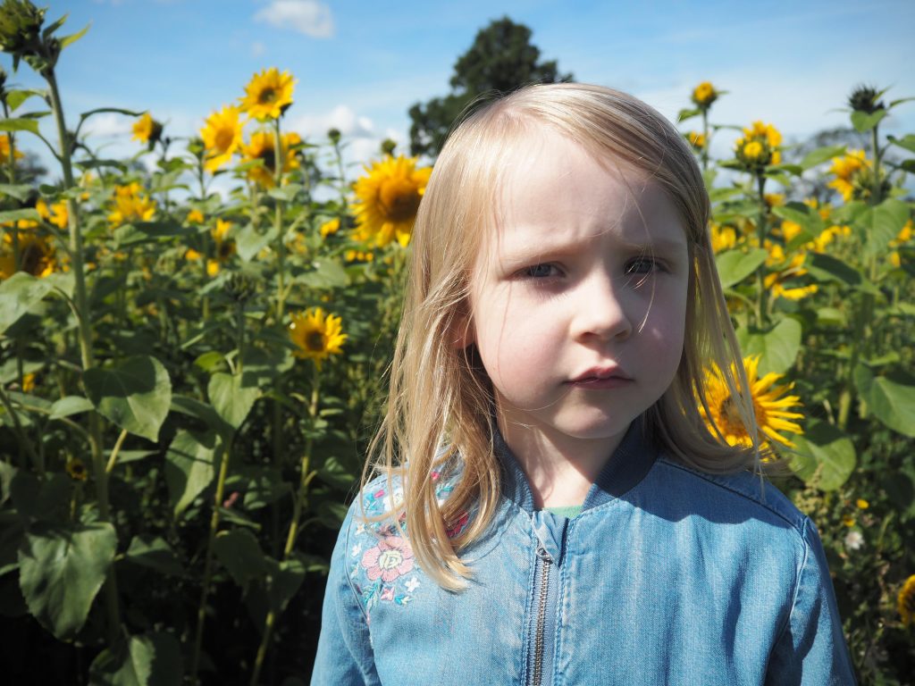 girl standing in front of sunflowers at Somerset Lavender