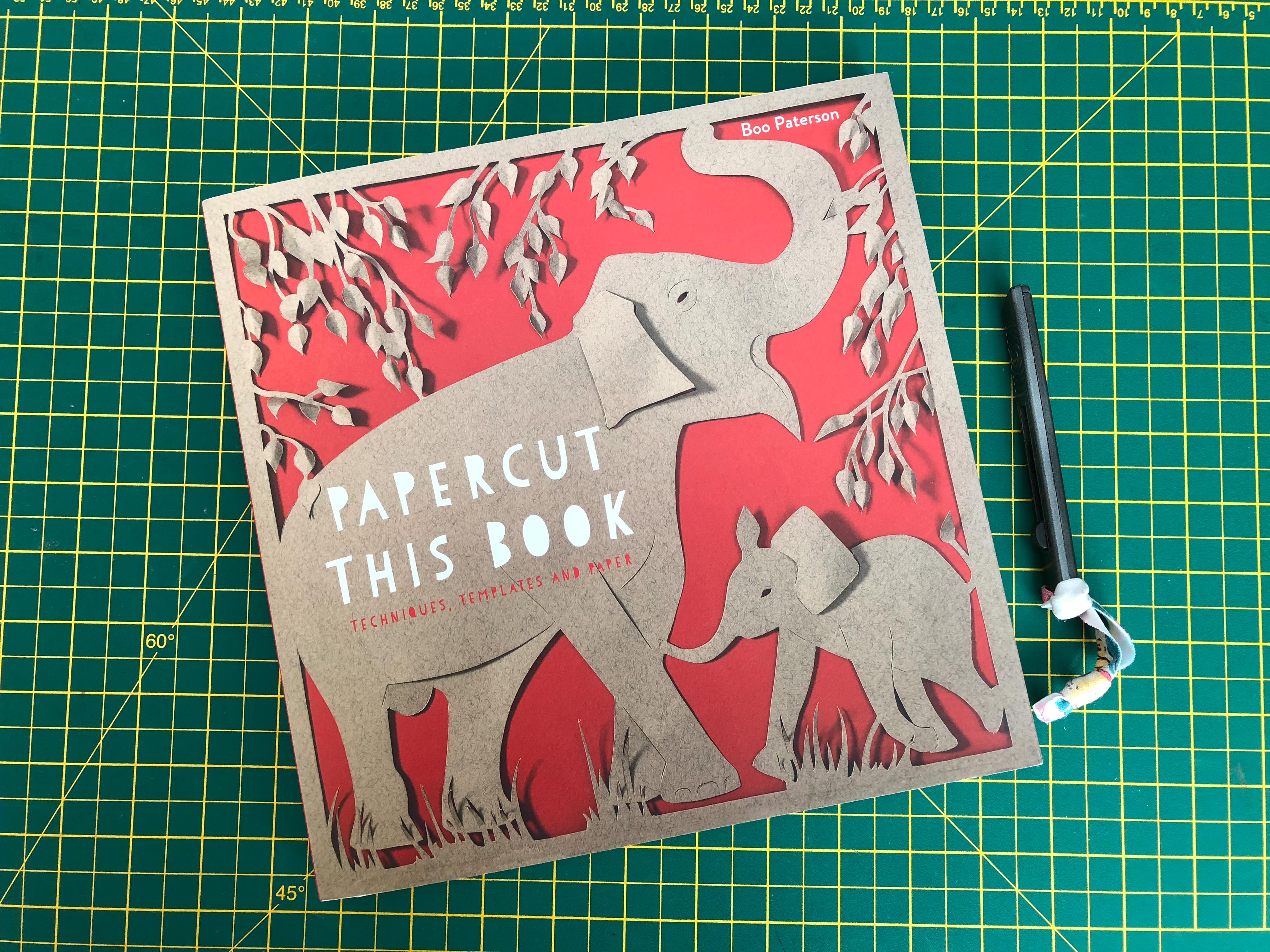 Papercut this book by Boo Paterson