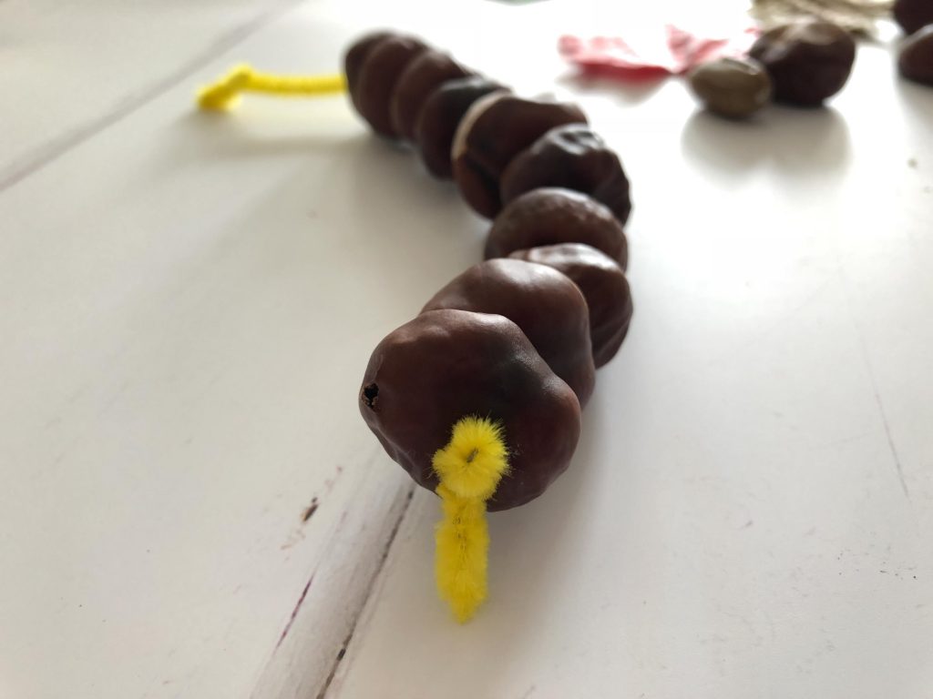 threading conkers on to pipe cleaners