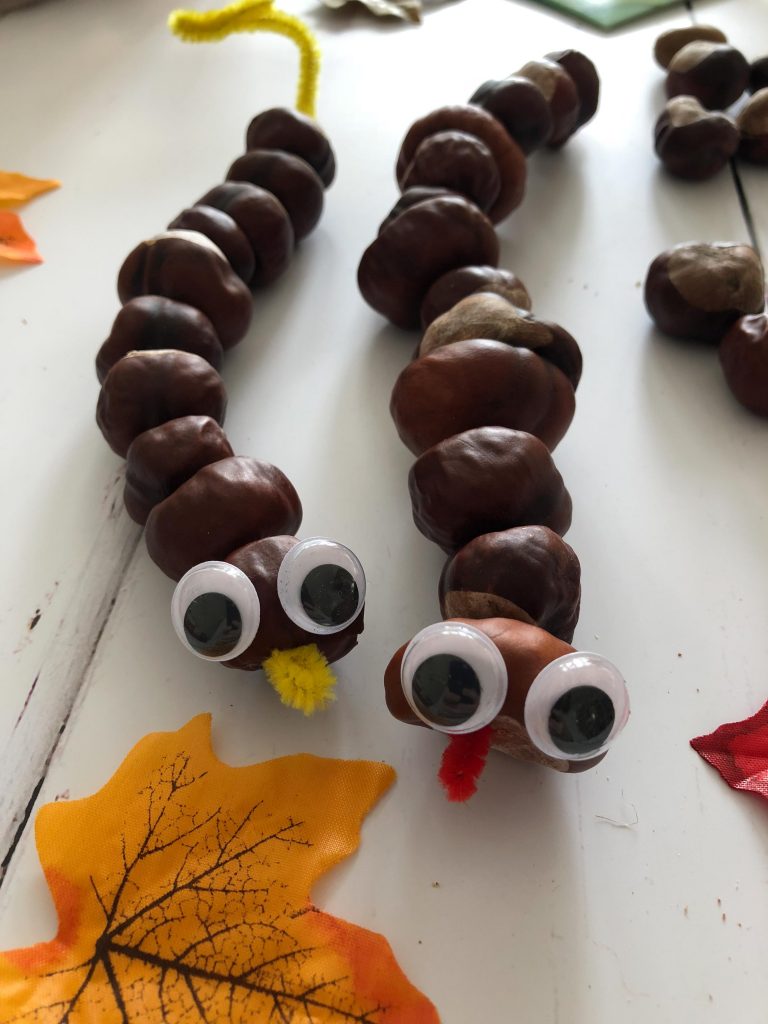 crafting with conkers