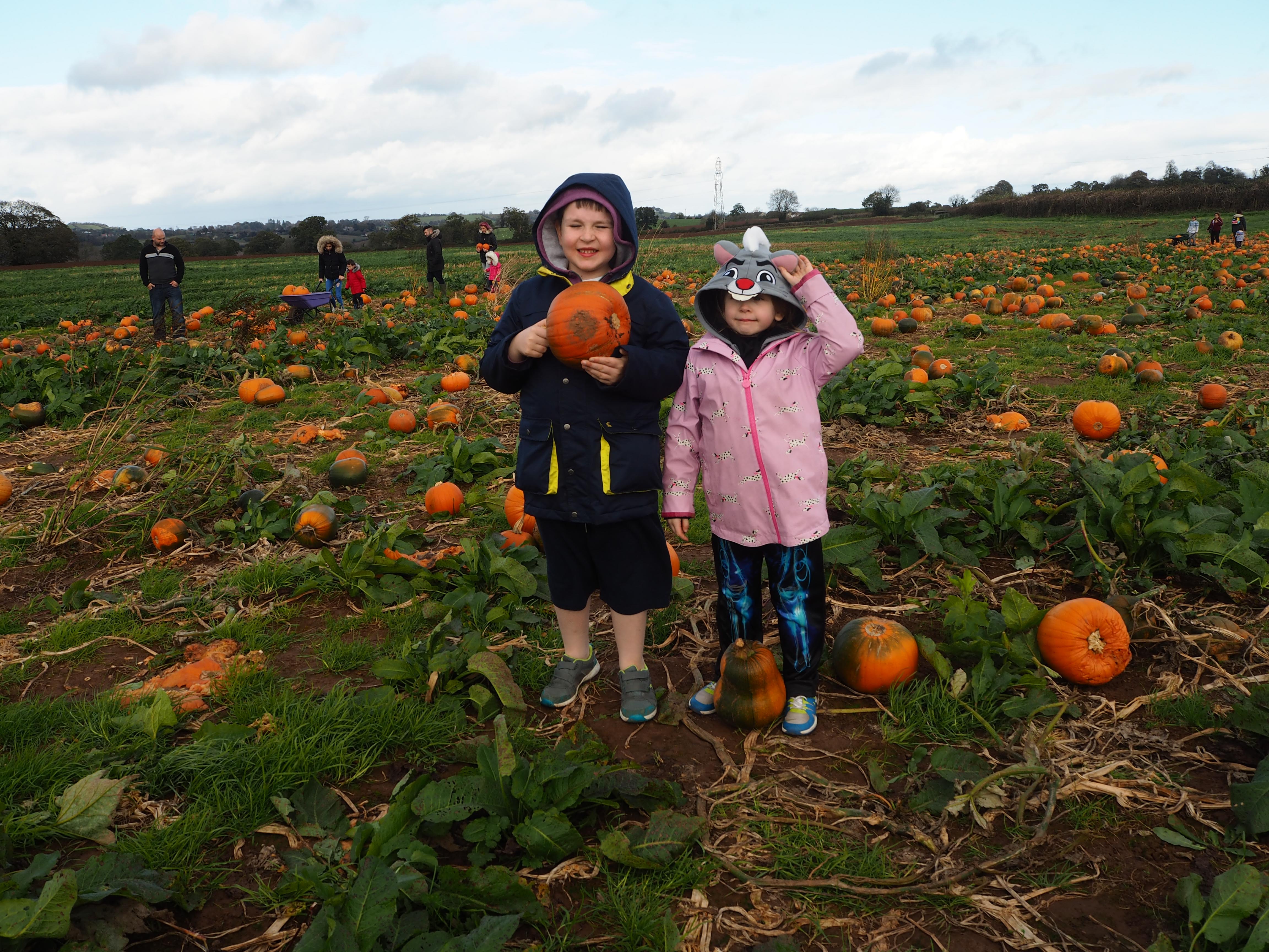 Monday mindfulness {5 happy things}