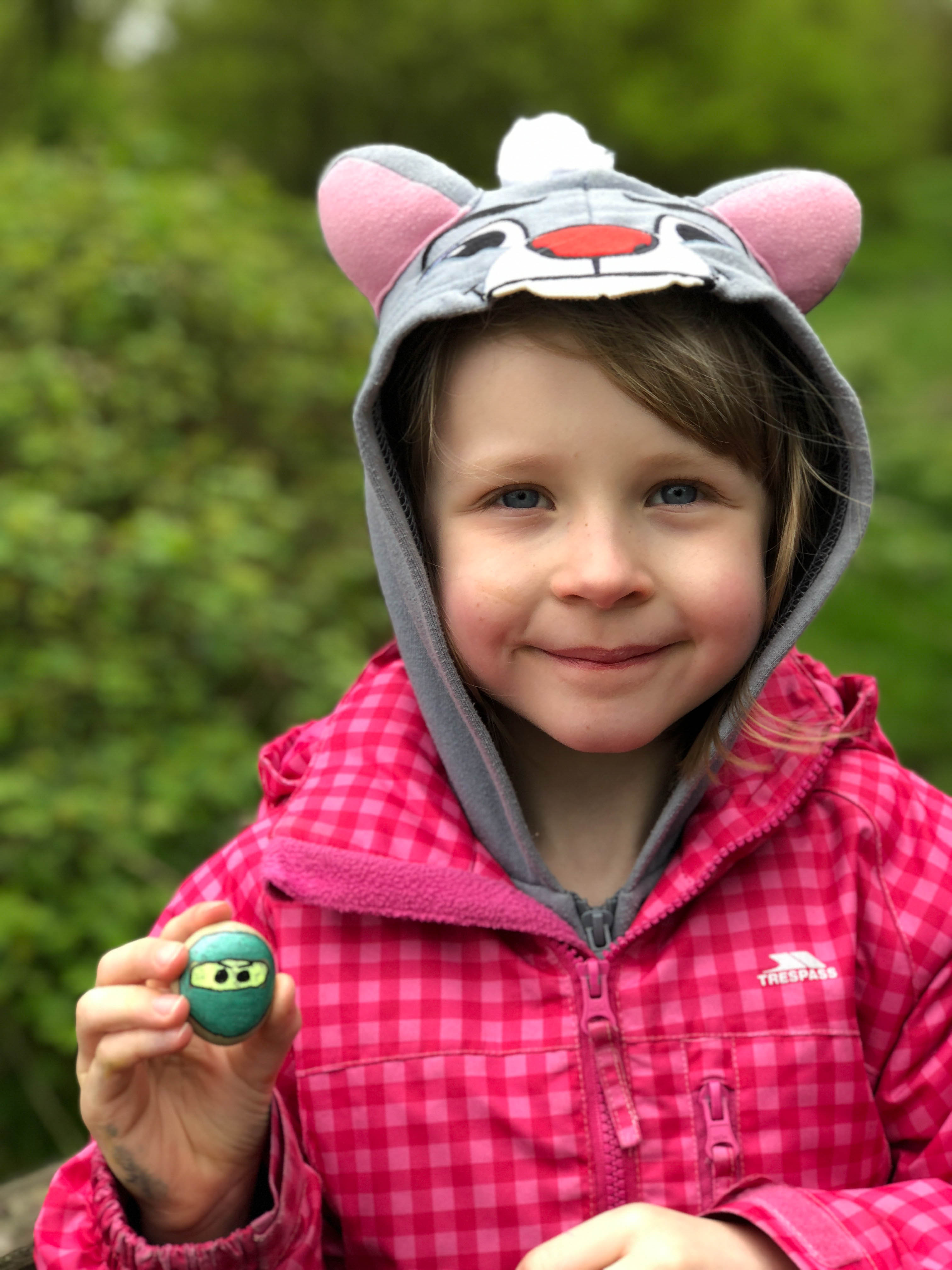 ninjago painted rock