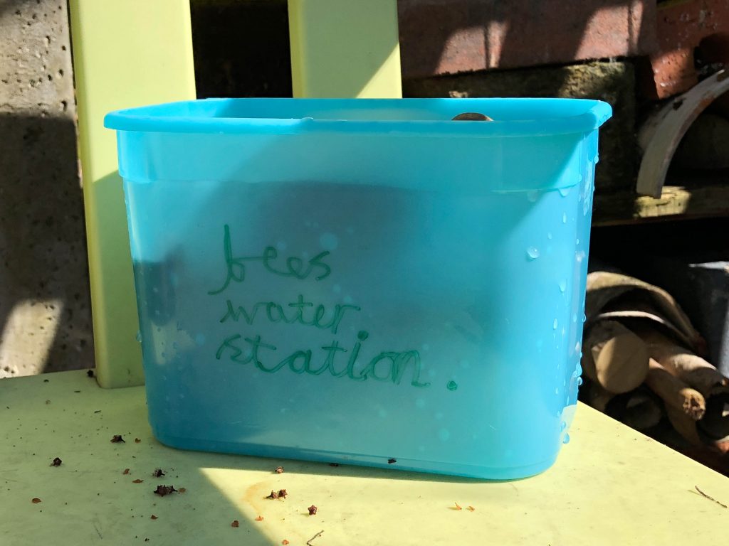 simple bee water station for kids to make