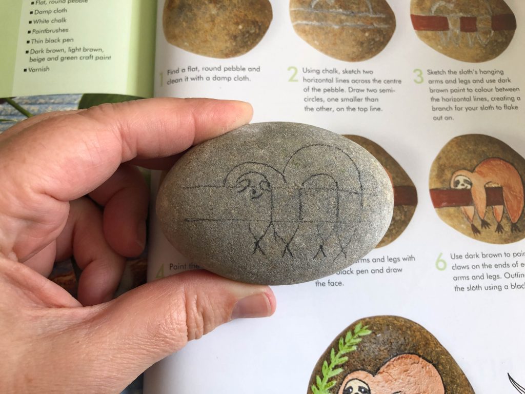 Pebble Pets: 50 Animal Rock Art Projects by Denise Scicluna