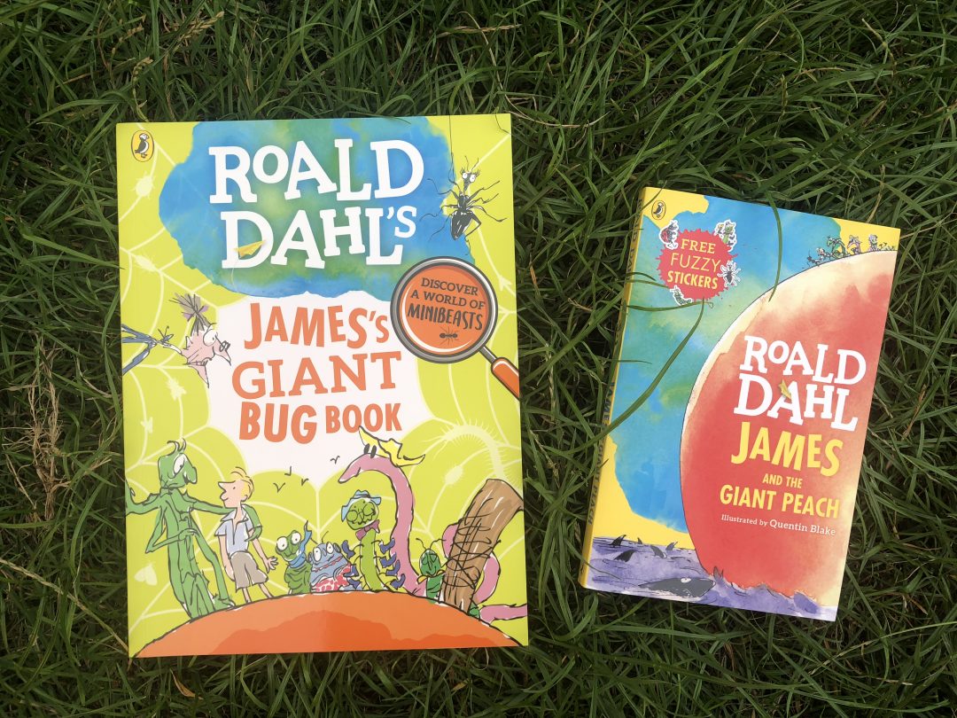 7 James And The Giant Peach Activities For Kids A Book Giveaway