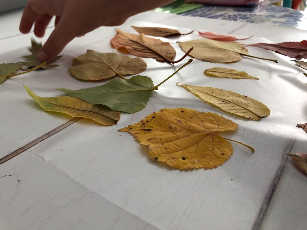 leaf sun catcher