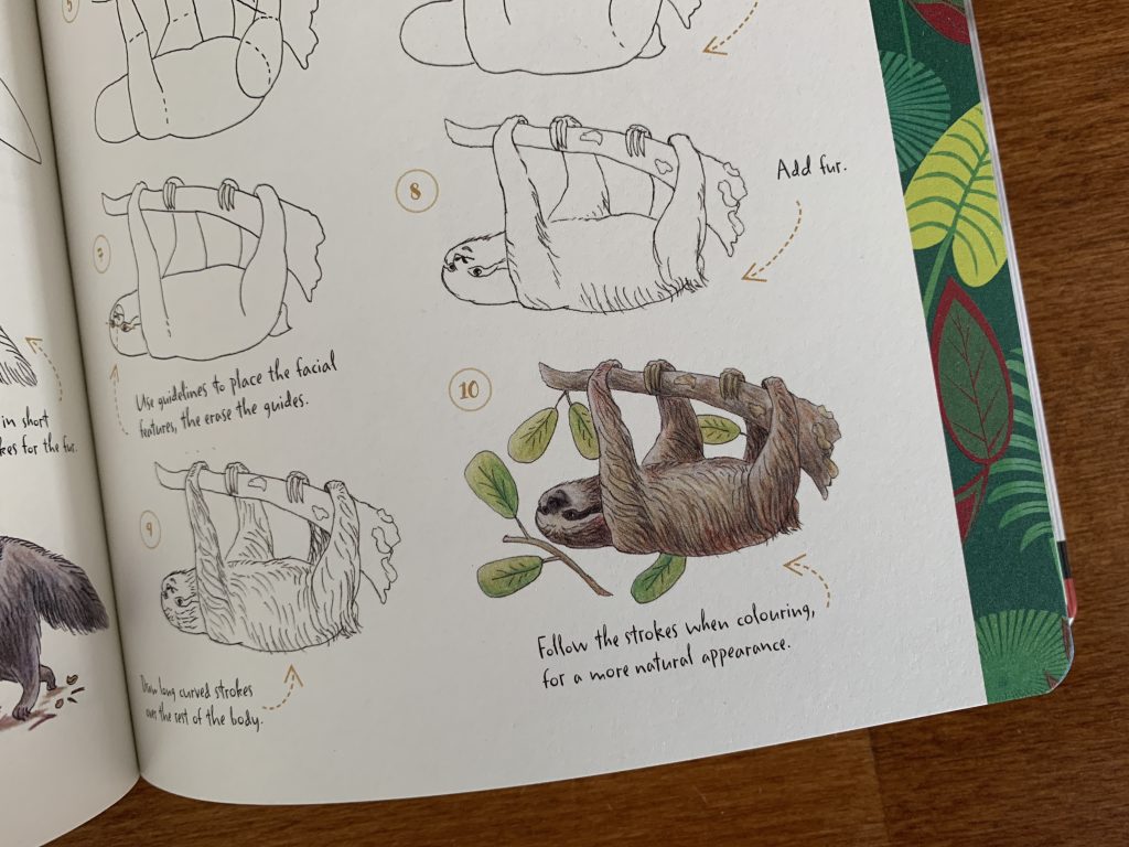 10 Step Drawing: Animals by Heather Kilgour