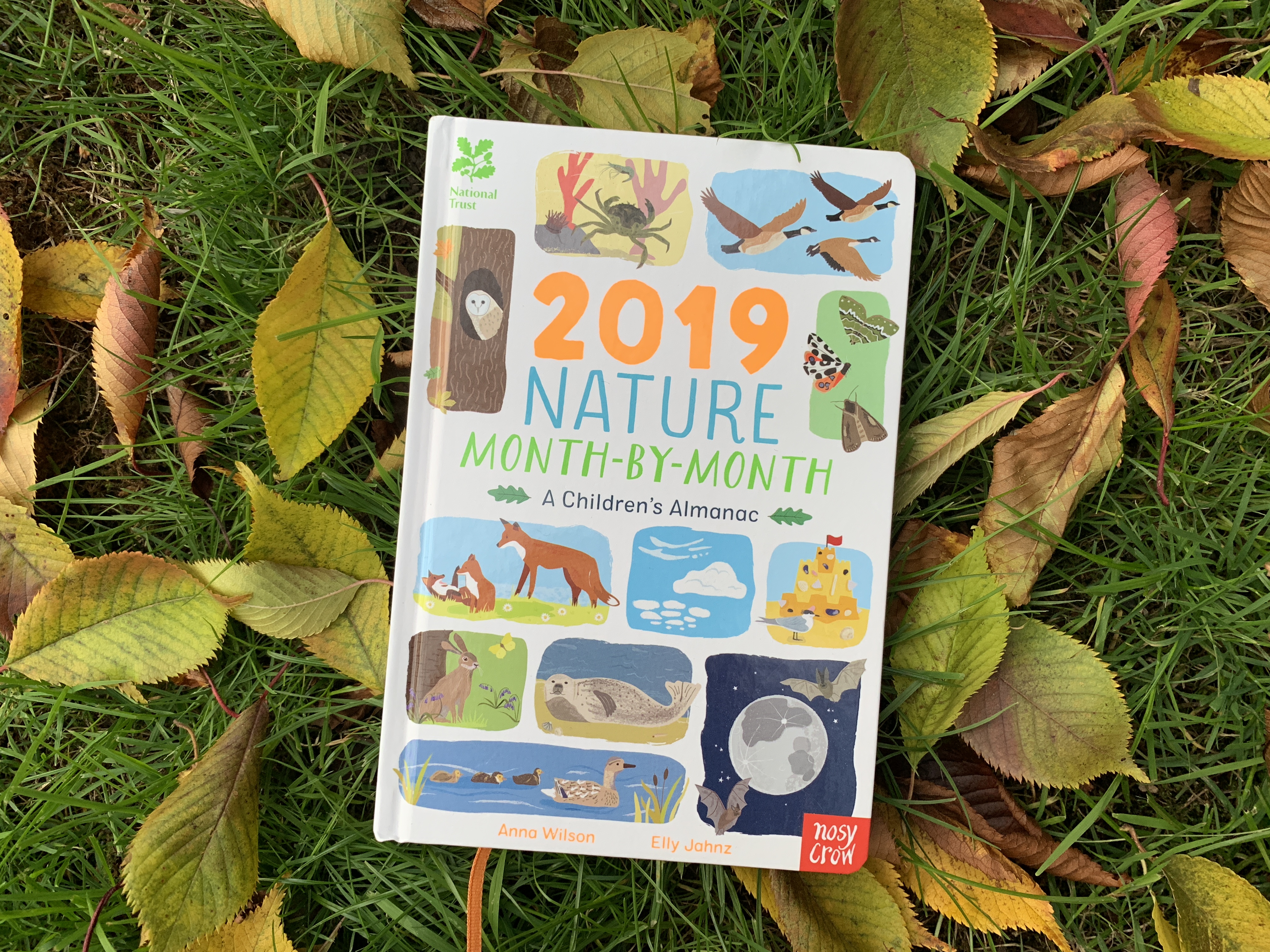 Nature Month-by-Month A Children’s Almanac for 2019
