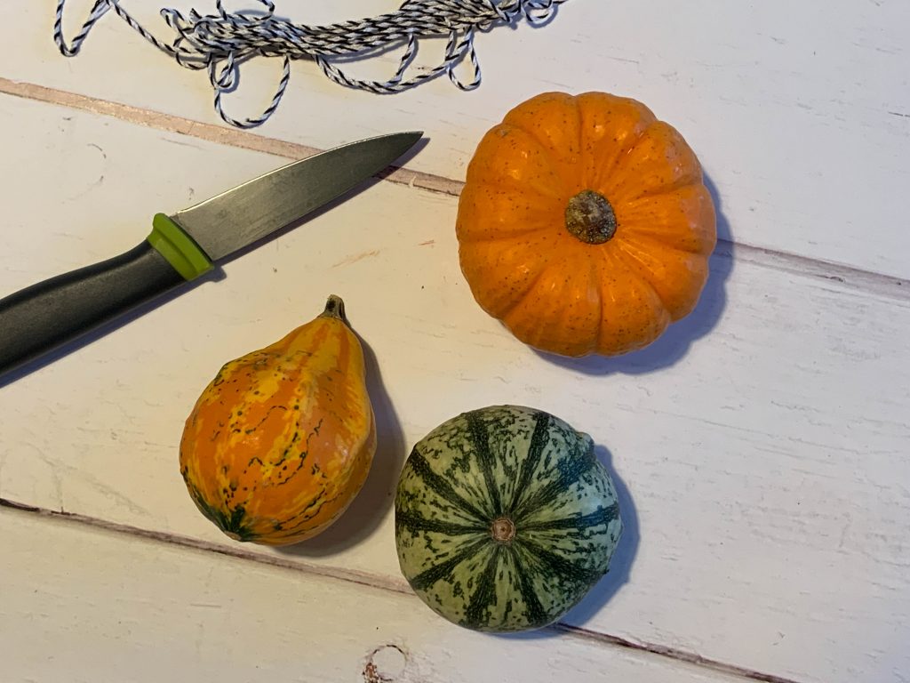 Turn your pumpkin into a bird feeder