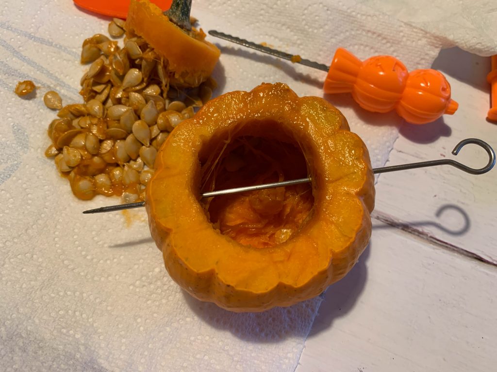 Turn your pumpkin into a bird feeder