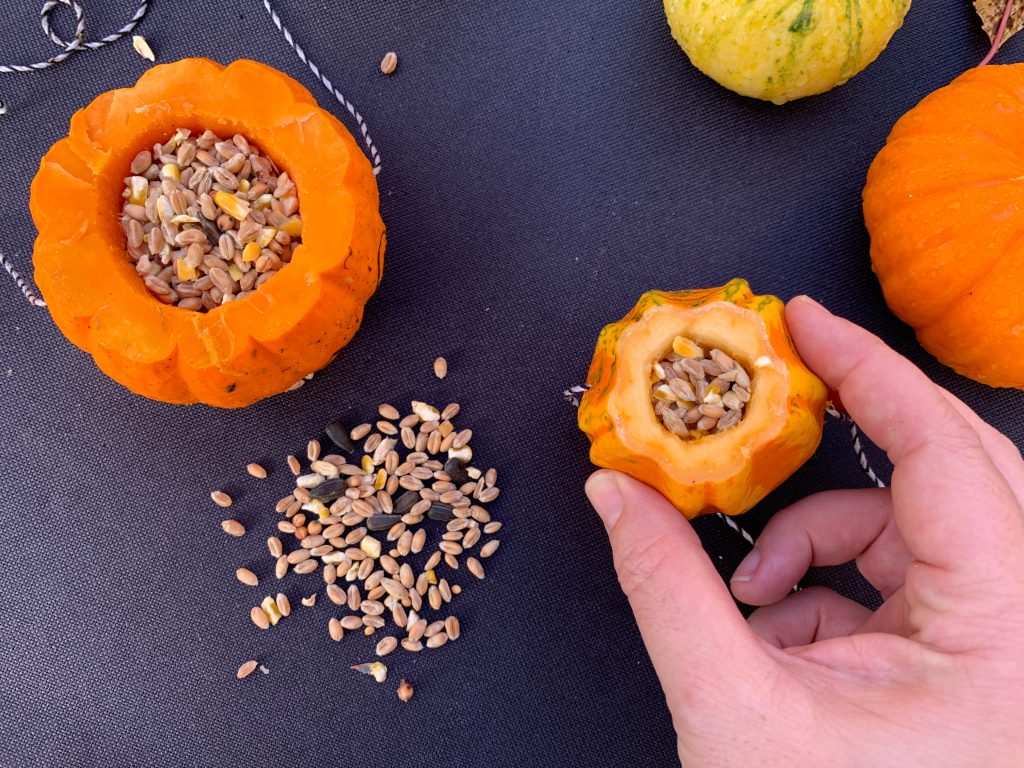 how to re-use pumpkins