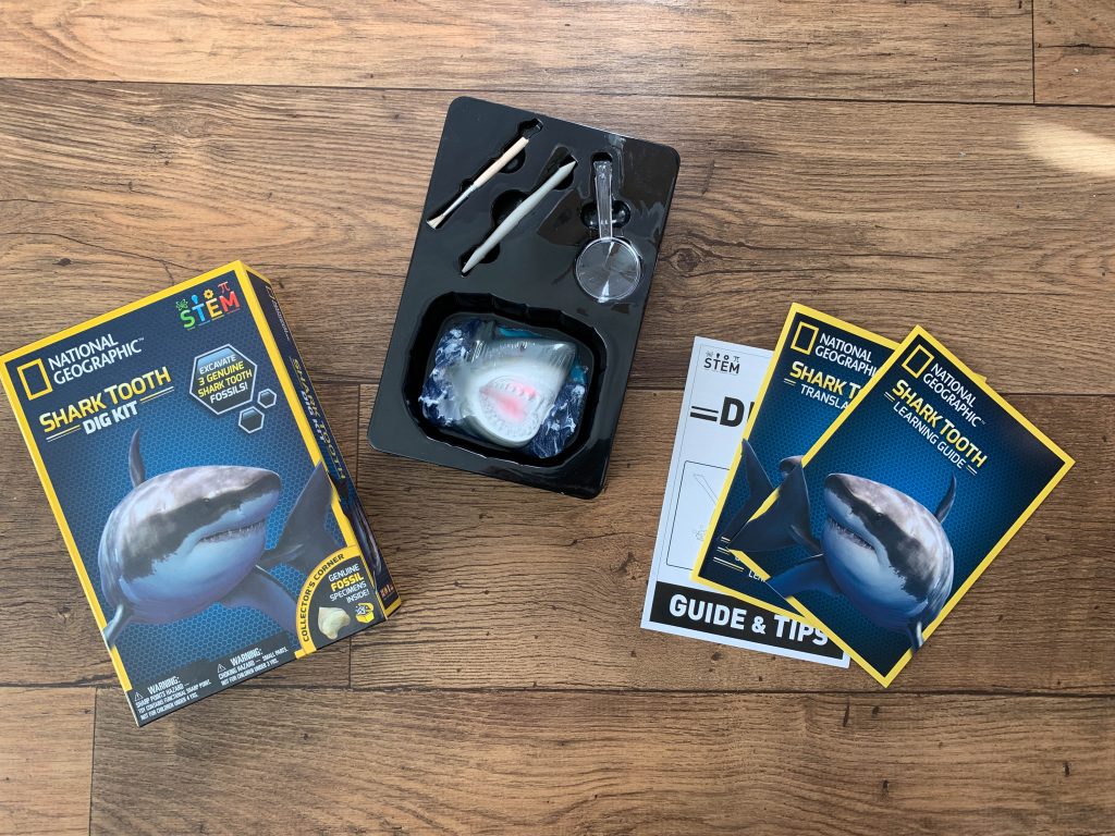 The Shark Dig Kit