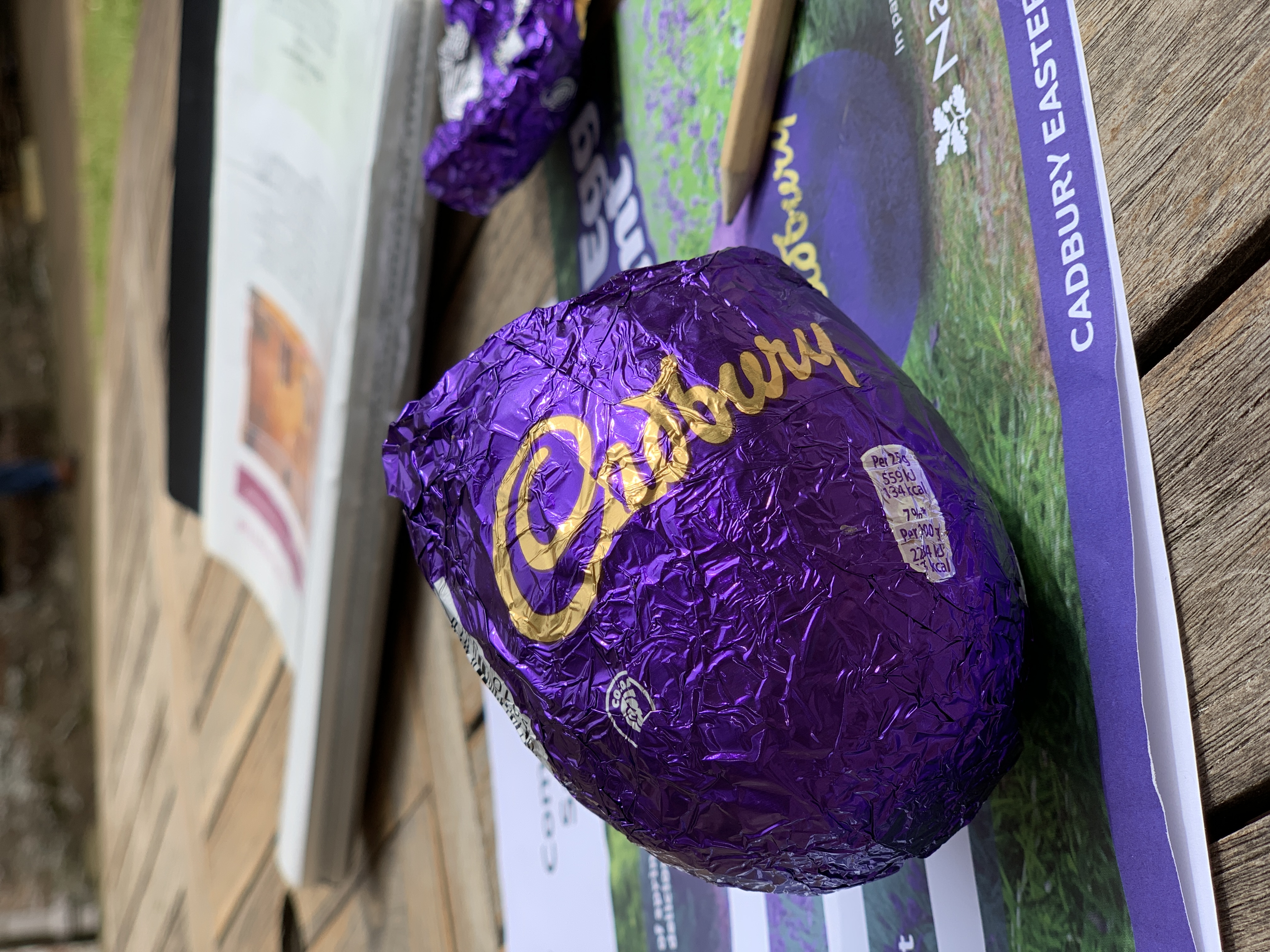 An Easter Egg Hunt at NT Compton Castle