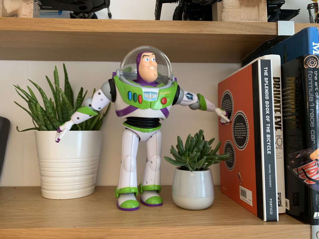 discovering Buzz on the bookshelves