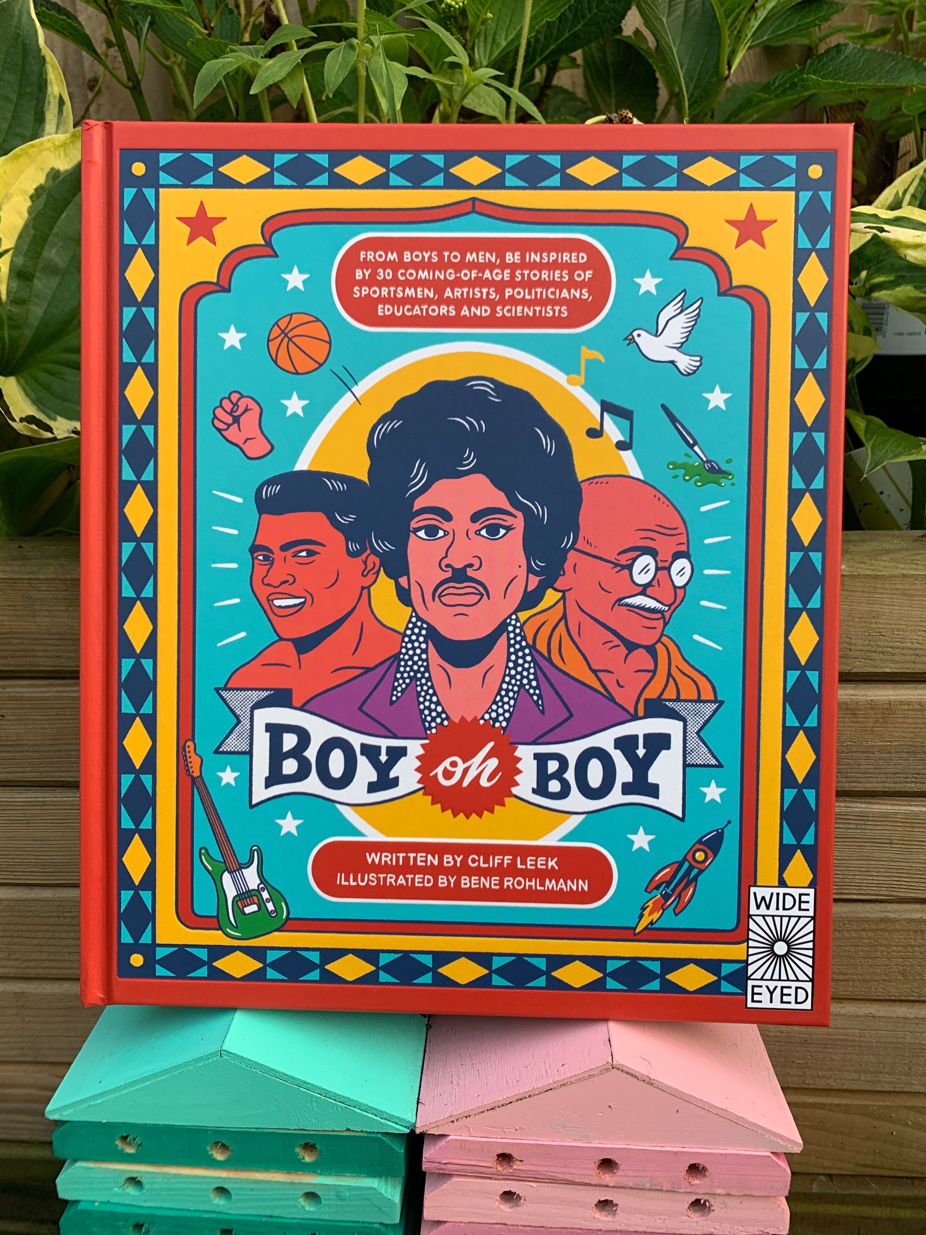 cover of Boy oh Boy book