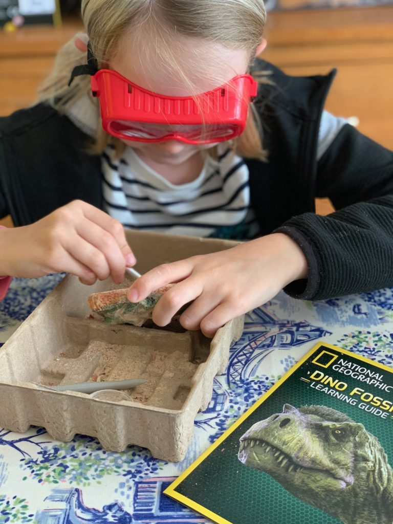 National Geographic Dino Fossil Dig Kit