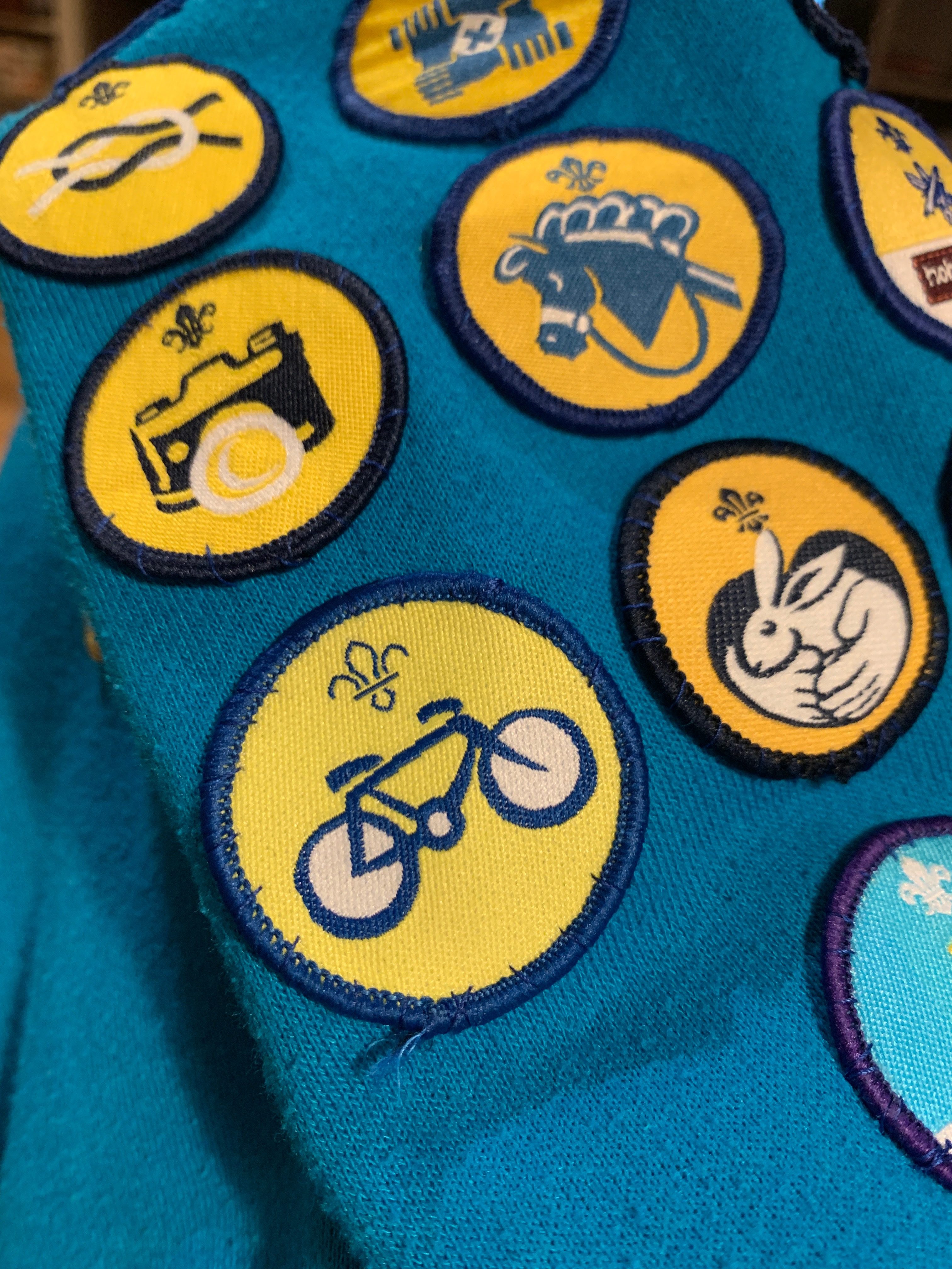 Beaver badges