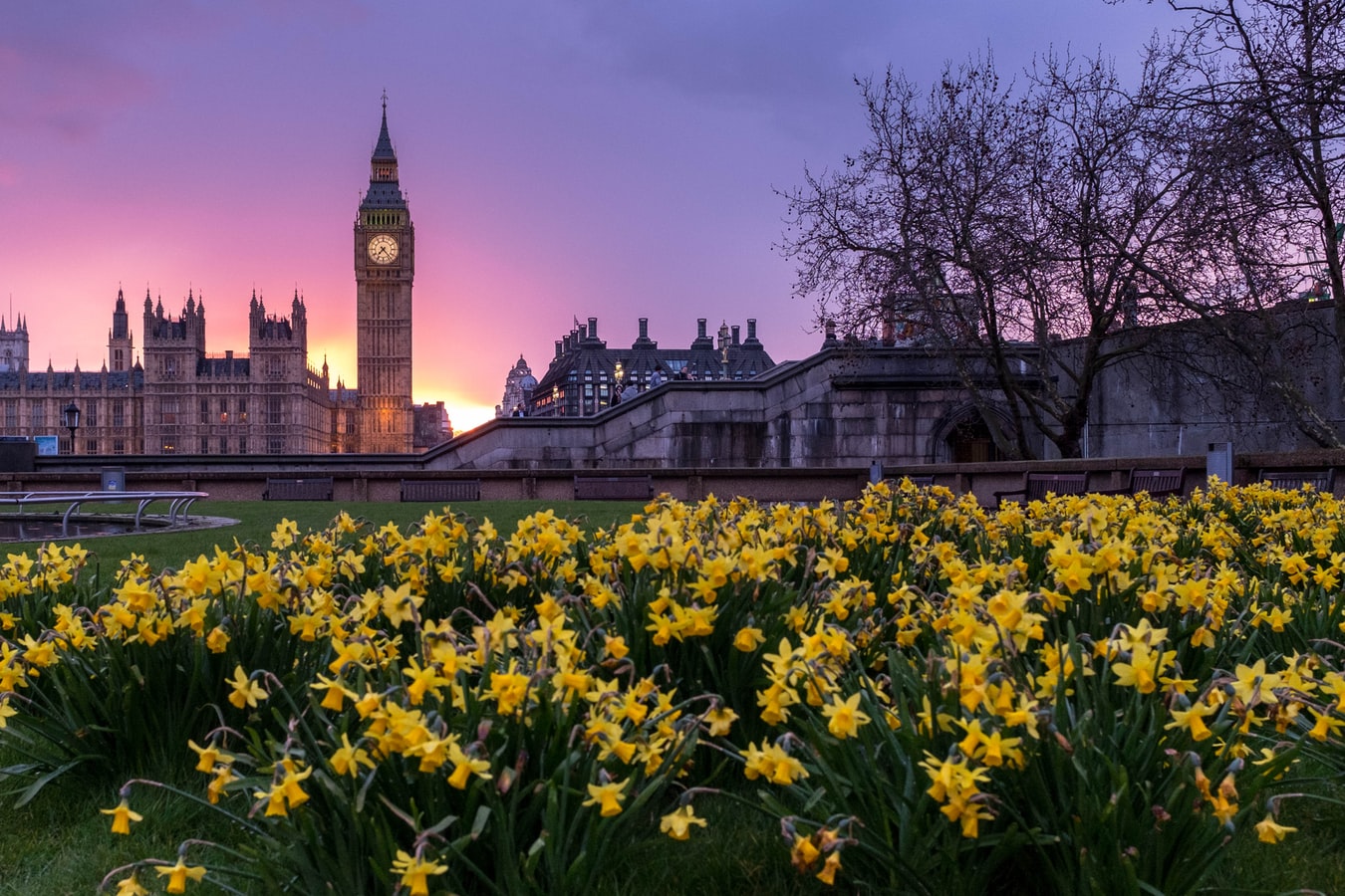 7 Easy Ways to Live Green in London