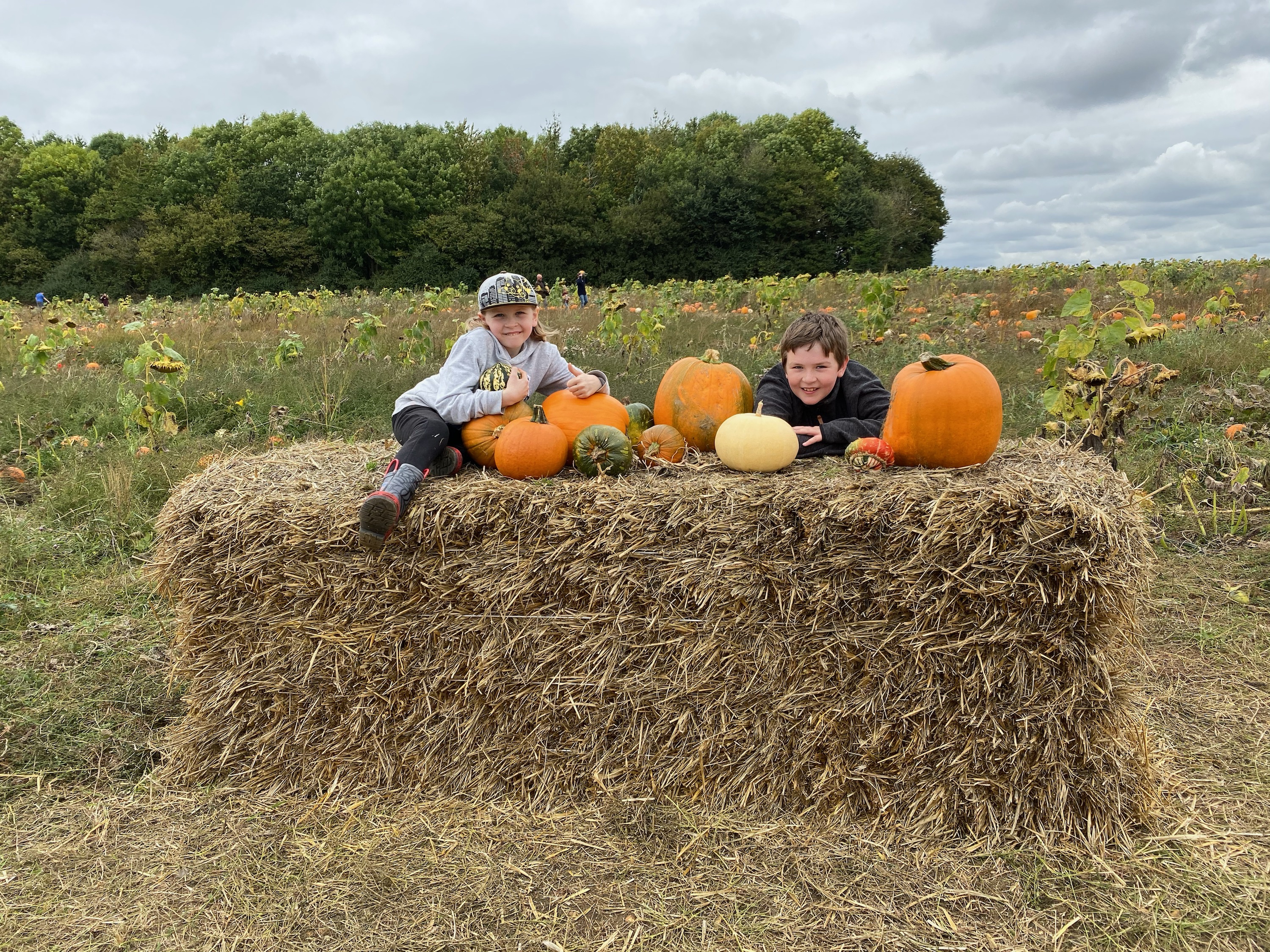 pumpkin patch near London