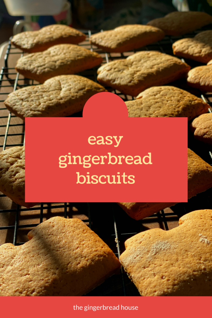 Baking with the Lidl gingerbread dough kit thegingerbreadhouse.co.uk