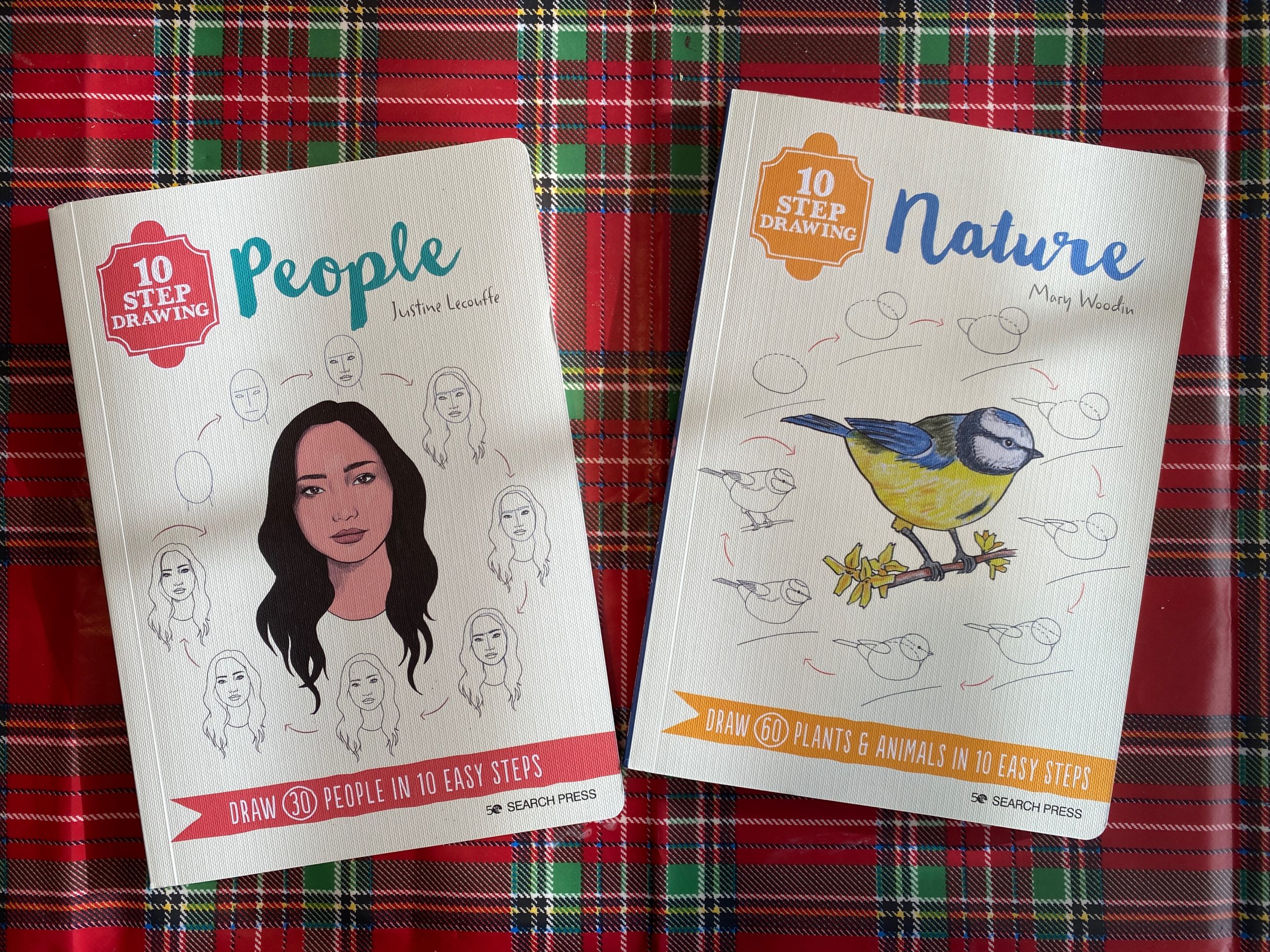 10 Step Drawing books