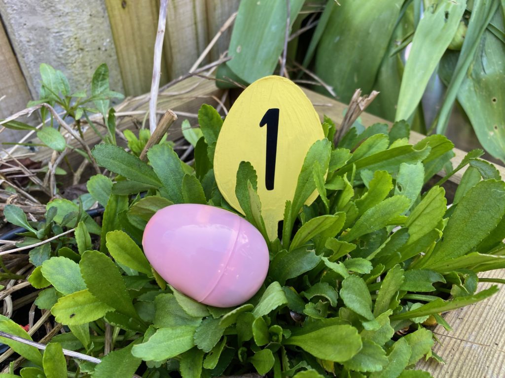 Easter Egg Hunt and clues