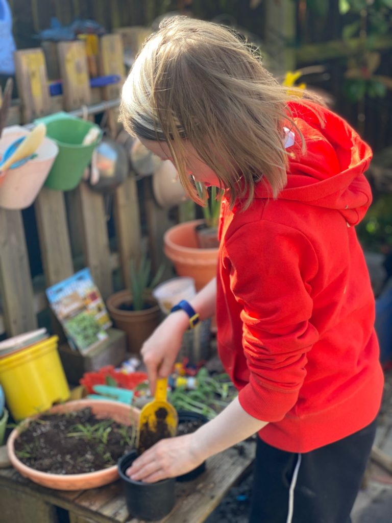 Wooden pallet planting station