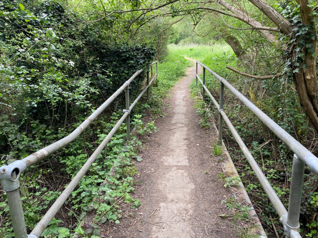 Ickenham Marsh