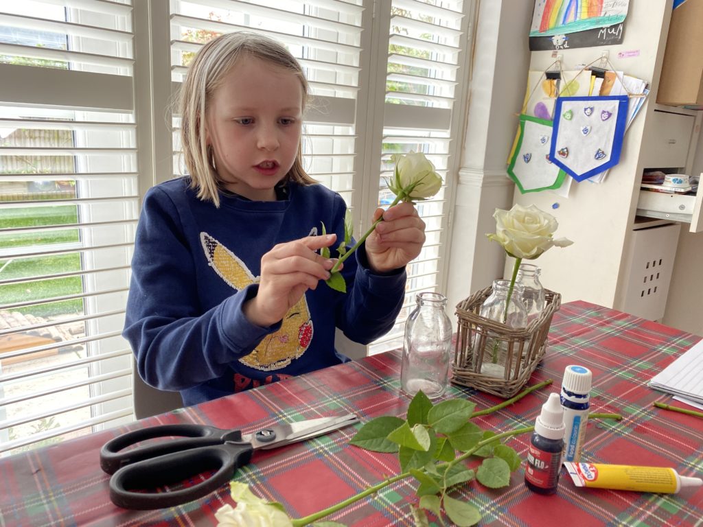 how to colour flower petals