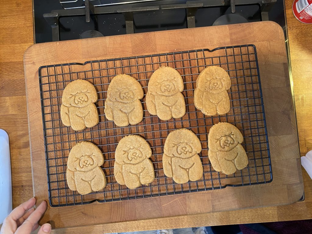 baking puppy gingerbread cookies