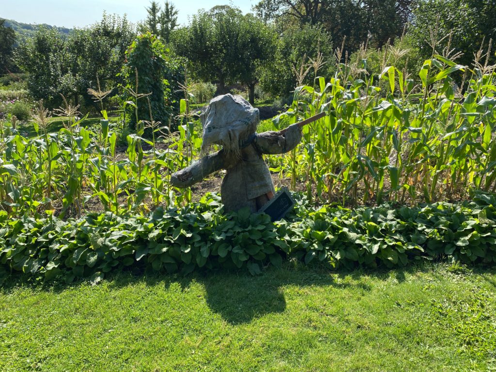 scarecrow at Hughenden Manor