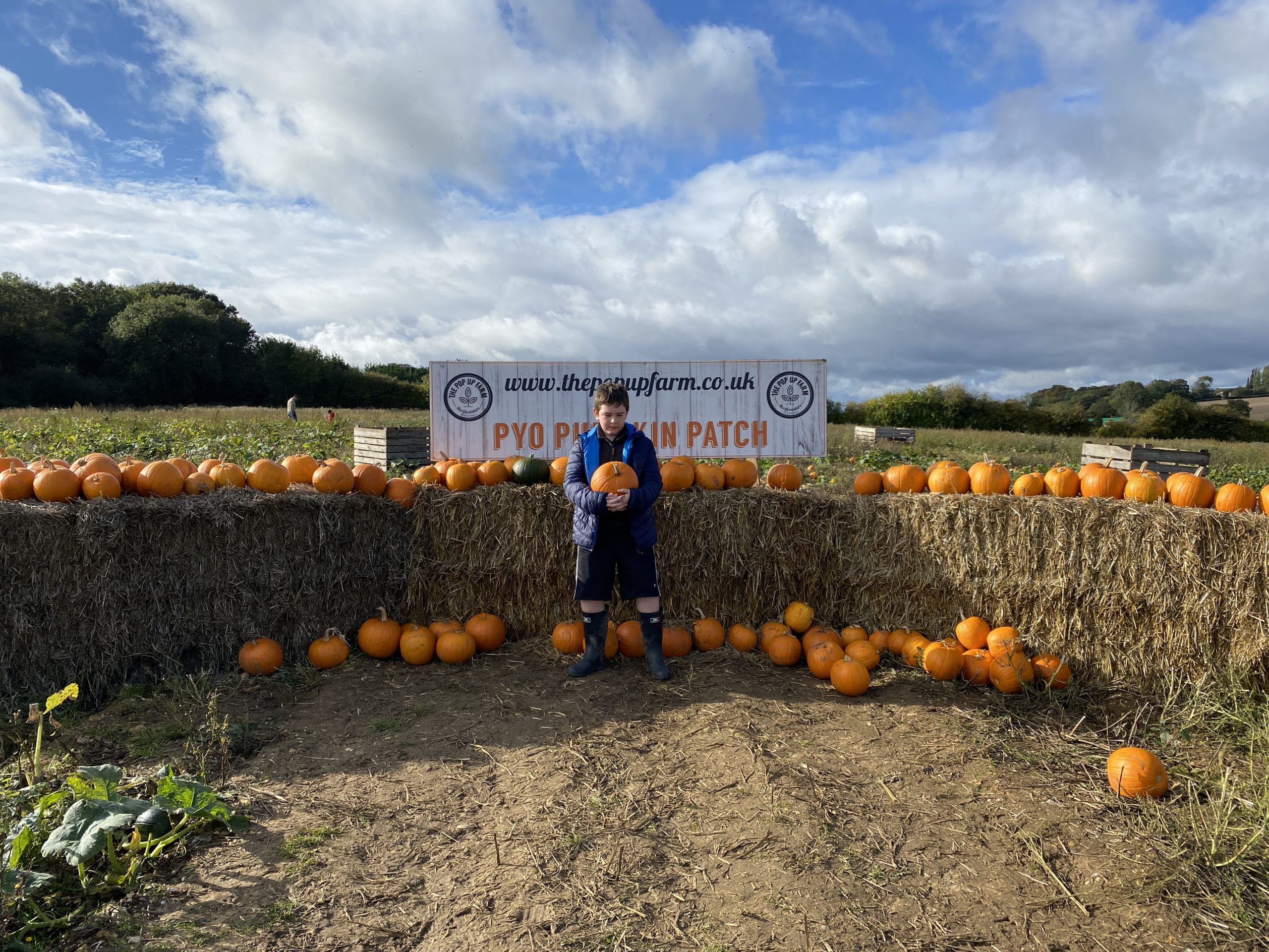 The Pop Up Farm pumpkin patch