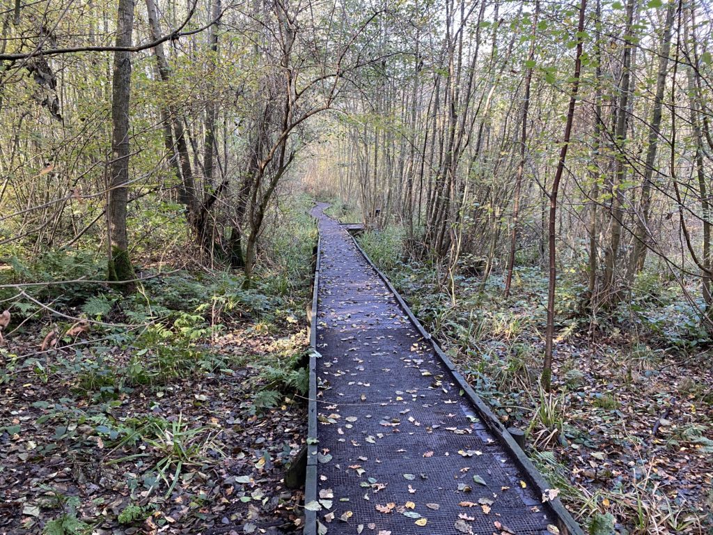 Northmoor Hill Local Nature Reserve