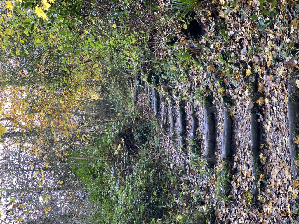 Northmoor Hill Local Nature Reserve