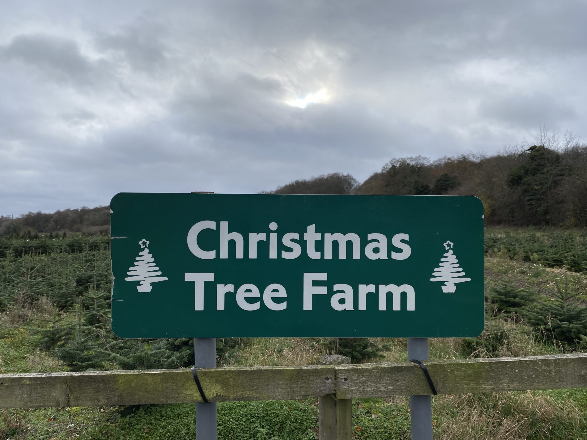 A visit to the Christmas Tree Farm Chesham thegingerbreadhouse.co.uk